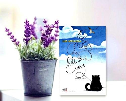 [Review sách] - Chuyện con mèo dạy hải âu bay - Luis Sepulveda - Câu chuyện ý nghĩa về những bài học trong cuộc sống
